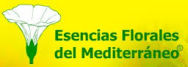 E.F.Mediterraneo E.F.Mediterraneo