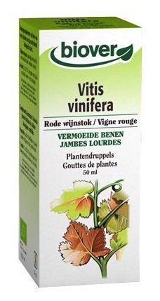 Vitis Vinifera Rotwein 50ml