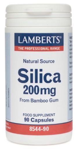Lamberts Silica Silicio 200 mg 90 Kapseln