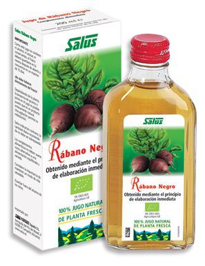 Salus Schwarzer Rettichsaft 200 Milliliter Schoenenberger aus Frischpflanze