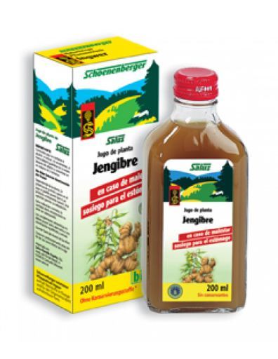 Salus Ingwersaft 200 ml