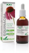Echinacea-Extrakt Echinacea-Extrakt