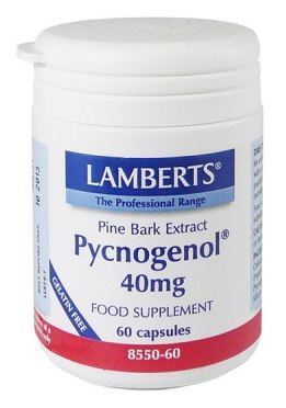 Lamberts Pycnogenol 40 mg Seekiefernrindenextrakt 60 Kapseln