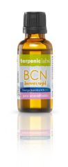 Synergia Bcn Sommernacht Bio 30 ml