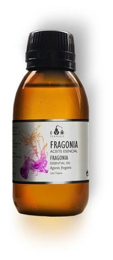 Terpenic Lab &Auml;therisches Fragonia&ouml;l 30 ml