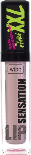 Lip Sensation Lipgloss 6