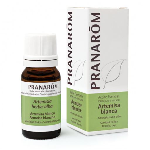 Pranarom &Auml;therisches &Ouml;l Wei&szlig;er Beifu&szlig; 10 ml