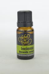 Aromatherapie Ätherisches Öl Weihrauch Eco 10 ml Aromatherapie Ätherisches Öl Weihrauch Eco 10 ml