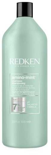 Redken Amino Mint Shampoo f&uuml;r fettige Kopfhaut