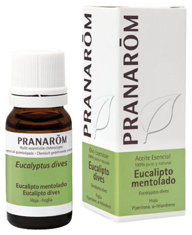 Pranarom &Auml;therisches Eukalyptus&ouml;l mit Menthol 10 ml