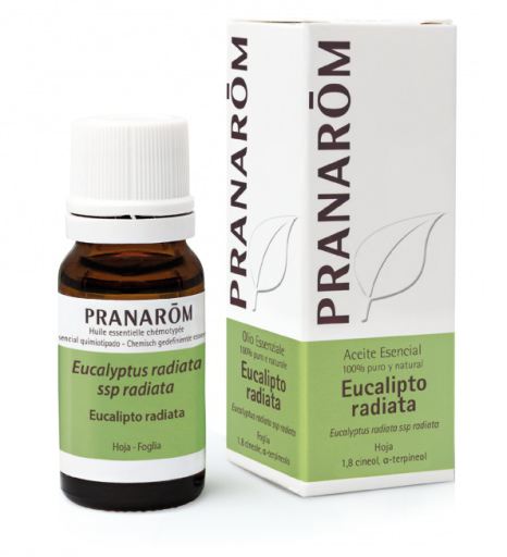 Pranarom &Auml;therisches Eukalyptus-Radiata-&Ouml;l