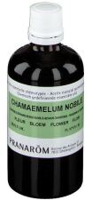 Ätherisches Öl der Römischen Kamille 5 ml Ätherisches Öl der Römischen Kamille 5 ml