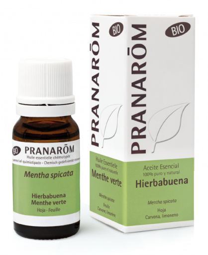 Pranarom &Auml;therisches Bio-Pfefferminz&ouml;l 10 ml