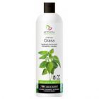Brennnessel-Anti-Fett-Shampoo