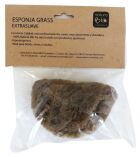 Grasschwamm