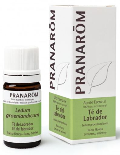 Pranarom &Auml;therisches Labrador-Tee&ouml;l 5 ml