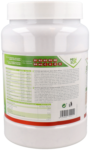 PlantaPol Protein Mega Soja Sojaprotein 1 kg