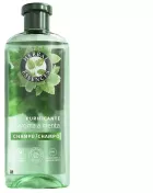 Minz-Reinigungsshampoo 350 ml